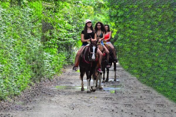 Horseback riding tour, ATV, zip lines, cenote, lunch, drinks and transfer cancun and riviera maya